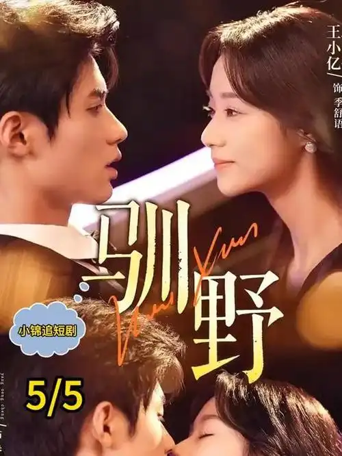 归途有风都市情感电视剧全集
